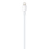 Apple USB-C to Lightning Cable 2.0 (1m) - Image 2